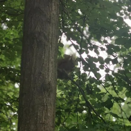 Palac Kwilecki -agroturystyka Premium & リゾート *