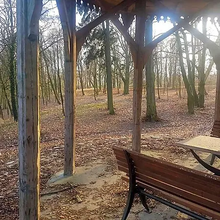 Palac Kwilecki -agroturystyka Premium &