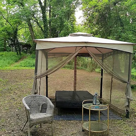 منتجع Palac Kwilecki -agroturystyka Premium & *