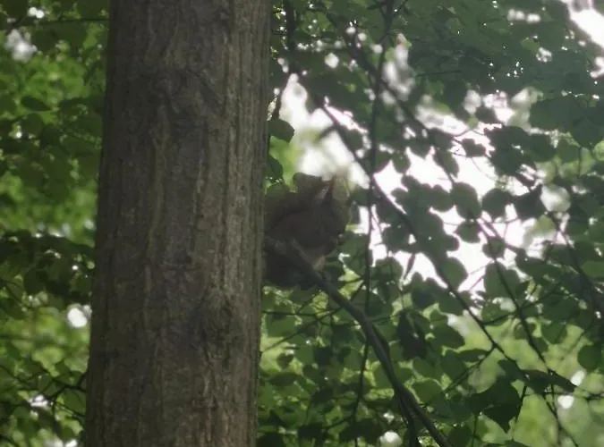 Palac Kwilecki -agroturystyka Premium & Resort *