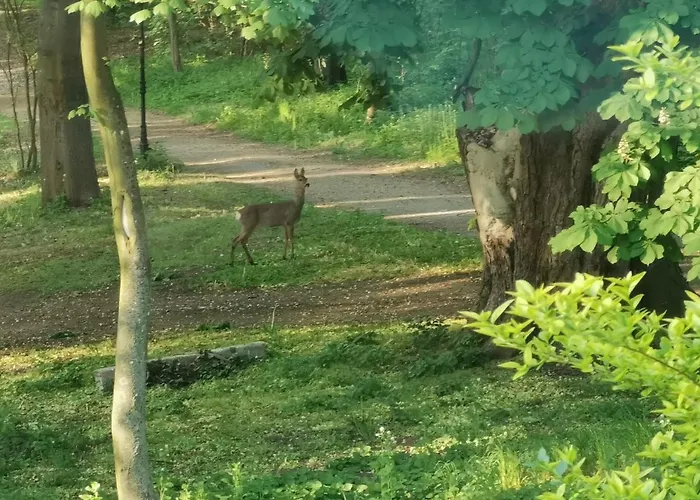Palac Kwilecki -agroturystyka Premium & Resort